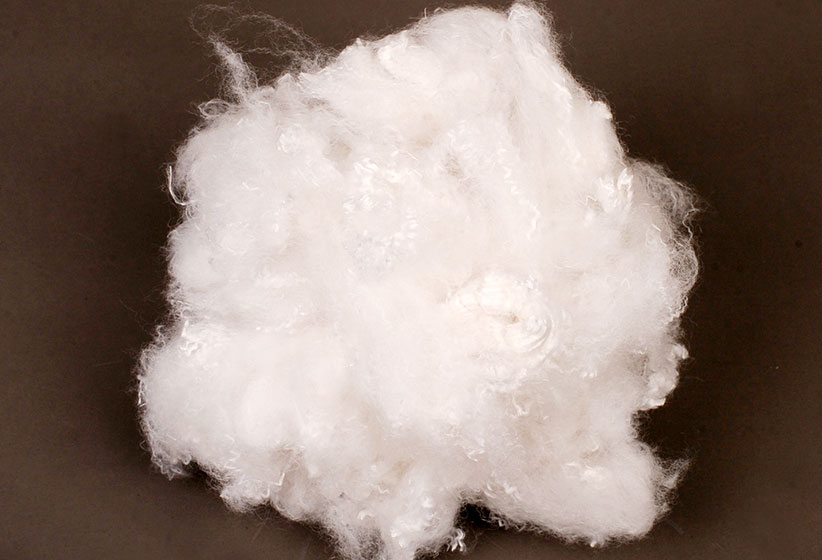 Antibacterial Es PE/PET Fiber